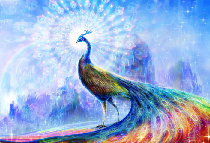 The peacocks spectrum e1523829070911