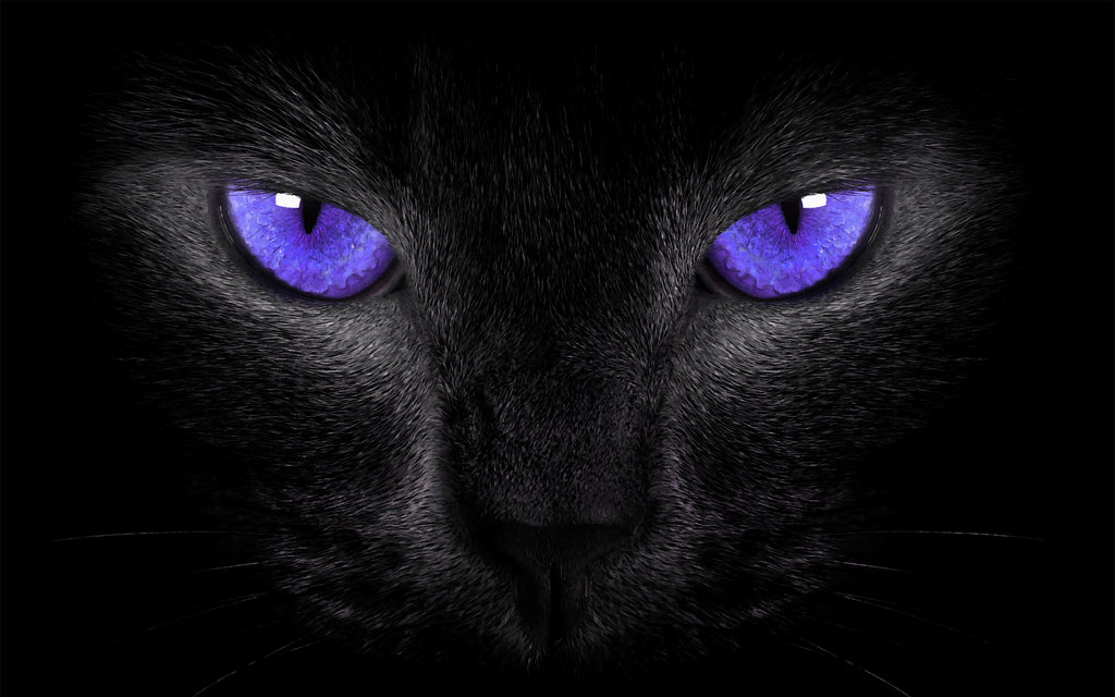 Black Cat Symbolism