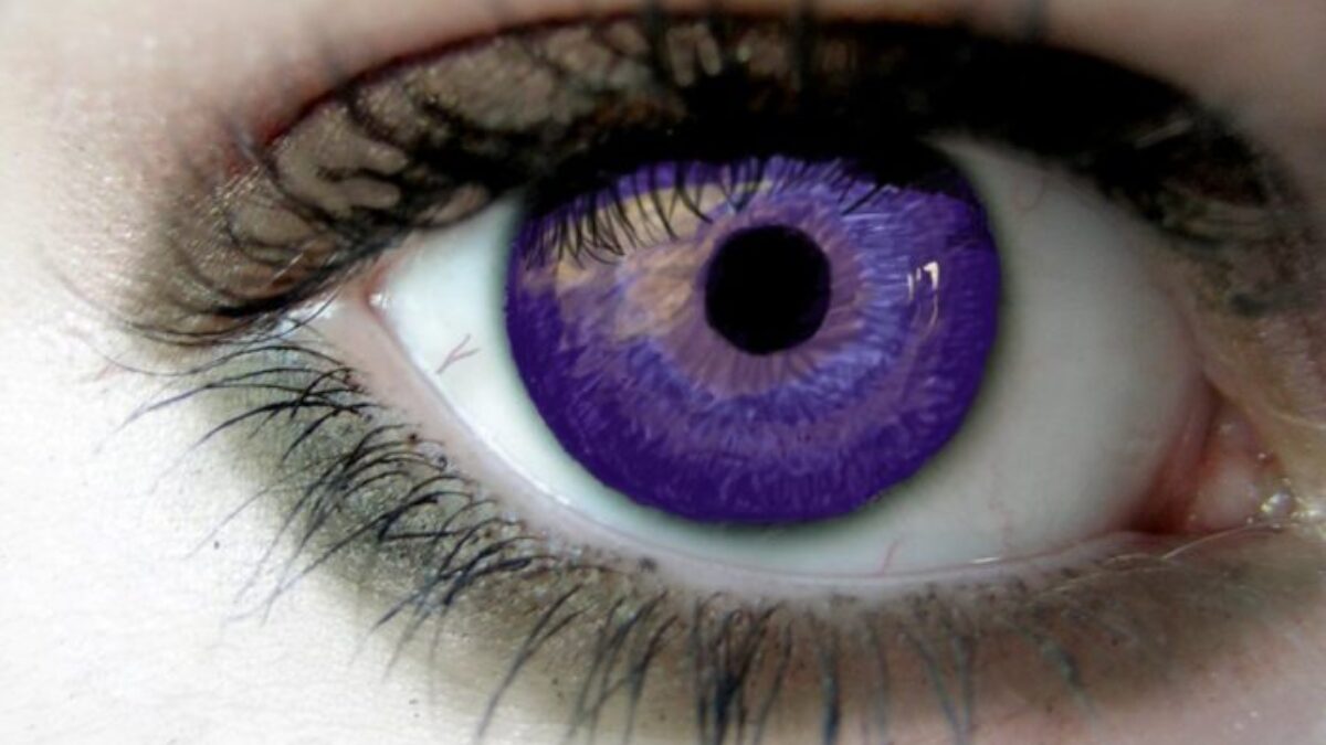Цвета глаз в природе. Фиолетовая гетерохромия. Генезис Александрии фиолетовые глаза. Гетерохромия радужной оболочки. Цвет глаз фиолетовый и гетерохромия.