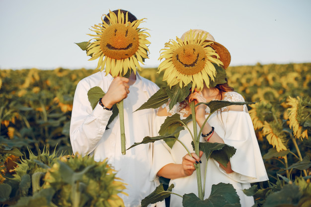 beautiful stylish couple field with sunflowers 1157 25980