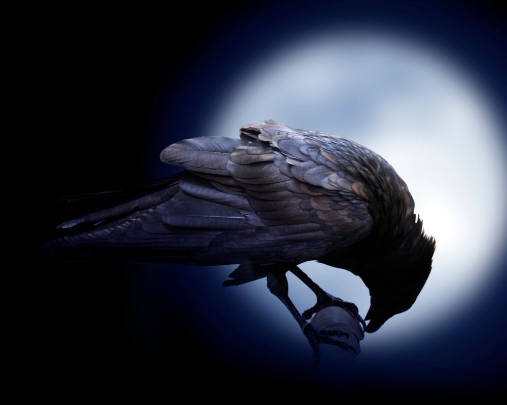 Crow Totem