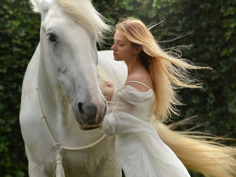 white horse02
