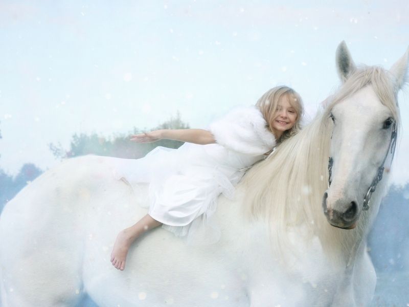 white horse03