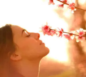 Spiritual Meaning of Dreaming About Sweet-Smelling Flowers